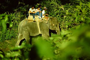 Elefantenritt im Chitwan Nationalpark.