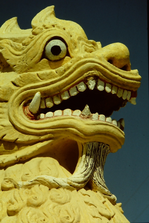 mandalay-yellow-lion-face