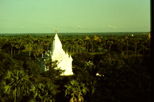 pagan-amidst-jungle