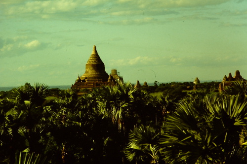 pagan-jungle-and-pagoda