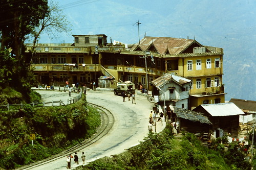 darjeeling-winding-road