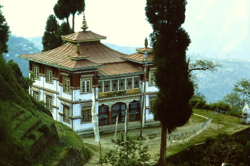 tibetan-center-darjeeling