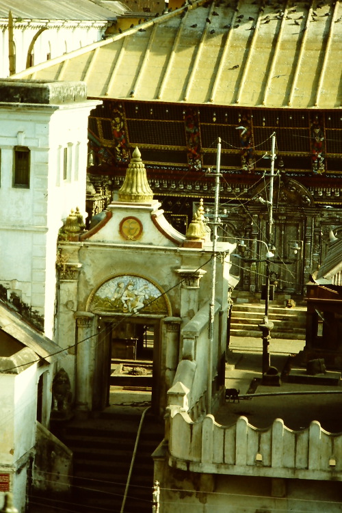 hindu-shrine-pashupatinath