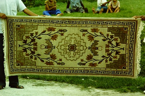 more-tibetan-vegetable-rugs-28