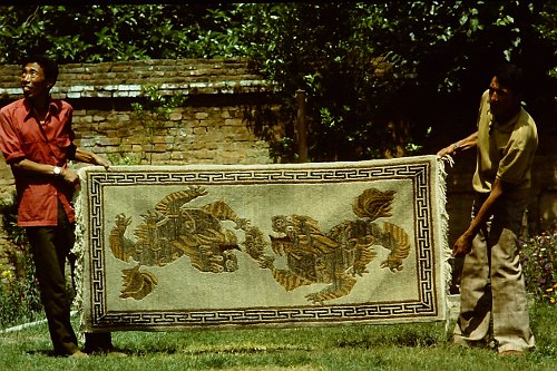 more-tibetan-vegetable-rugs-6