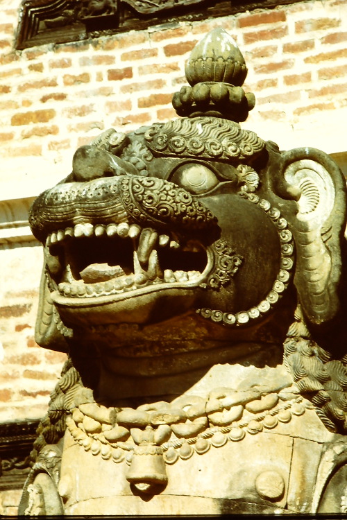 stone-lion-bhaktapur