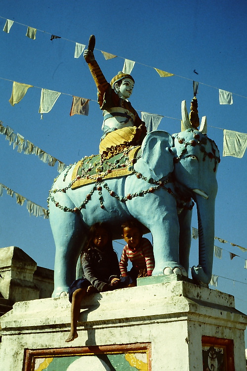 bodnath-blue-elephant