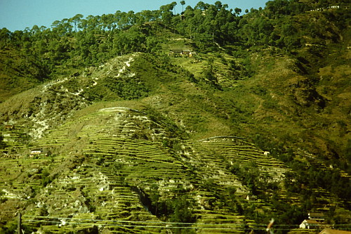 nepal-terrace-hills